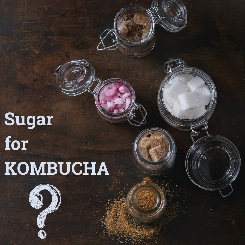 Kombucha and Sugar: Myths, Facts, and Brewing Tips