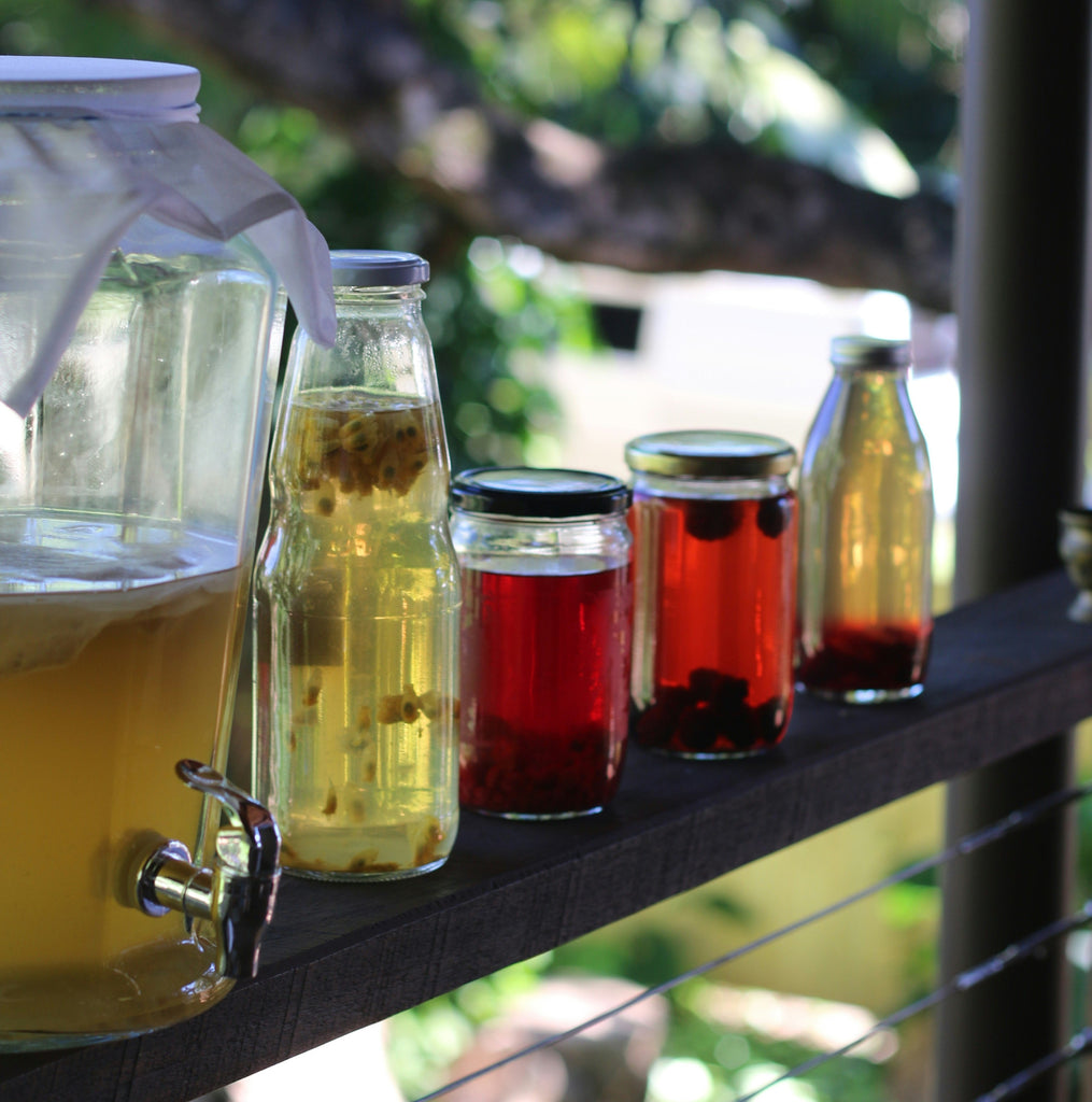 Kombucha Calories: How Many Calories Does Kombucha Have?