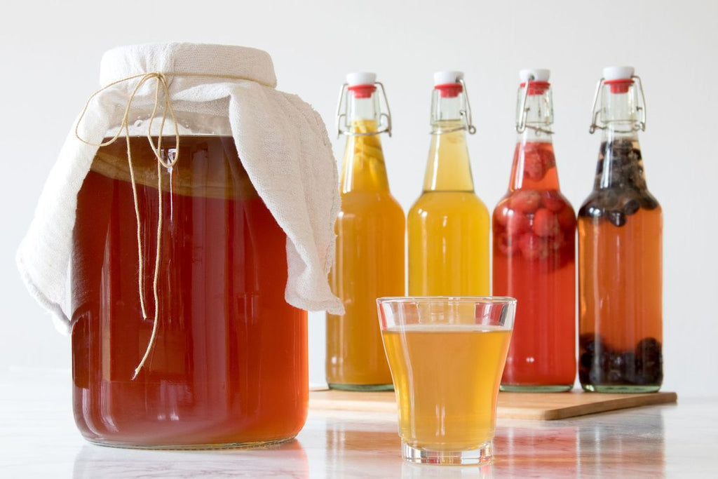 Kombucha and Electrolytes: Hydration Potential of Fermented Tea