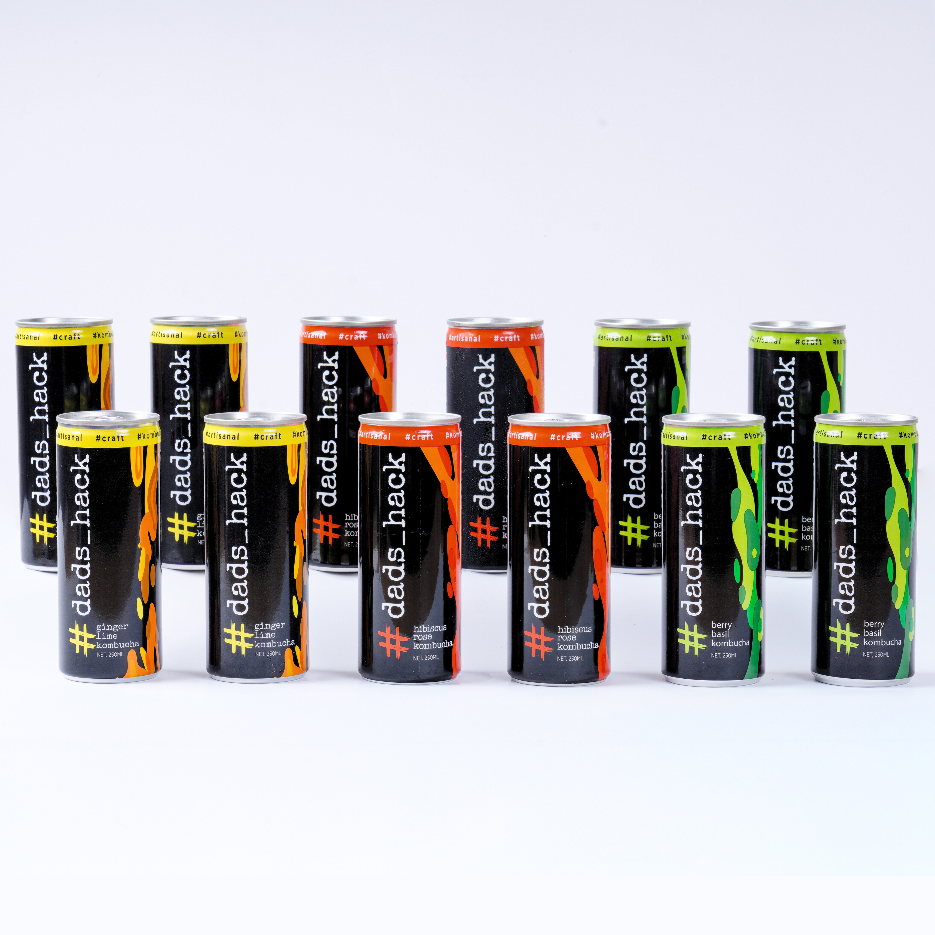 Pack of 12 Kombucha Cans [Choose your flavours]