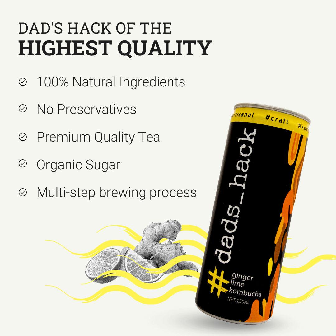 Ginger Lime Kombucha Cans [Pack of 6]