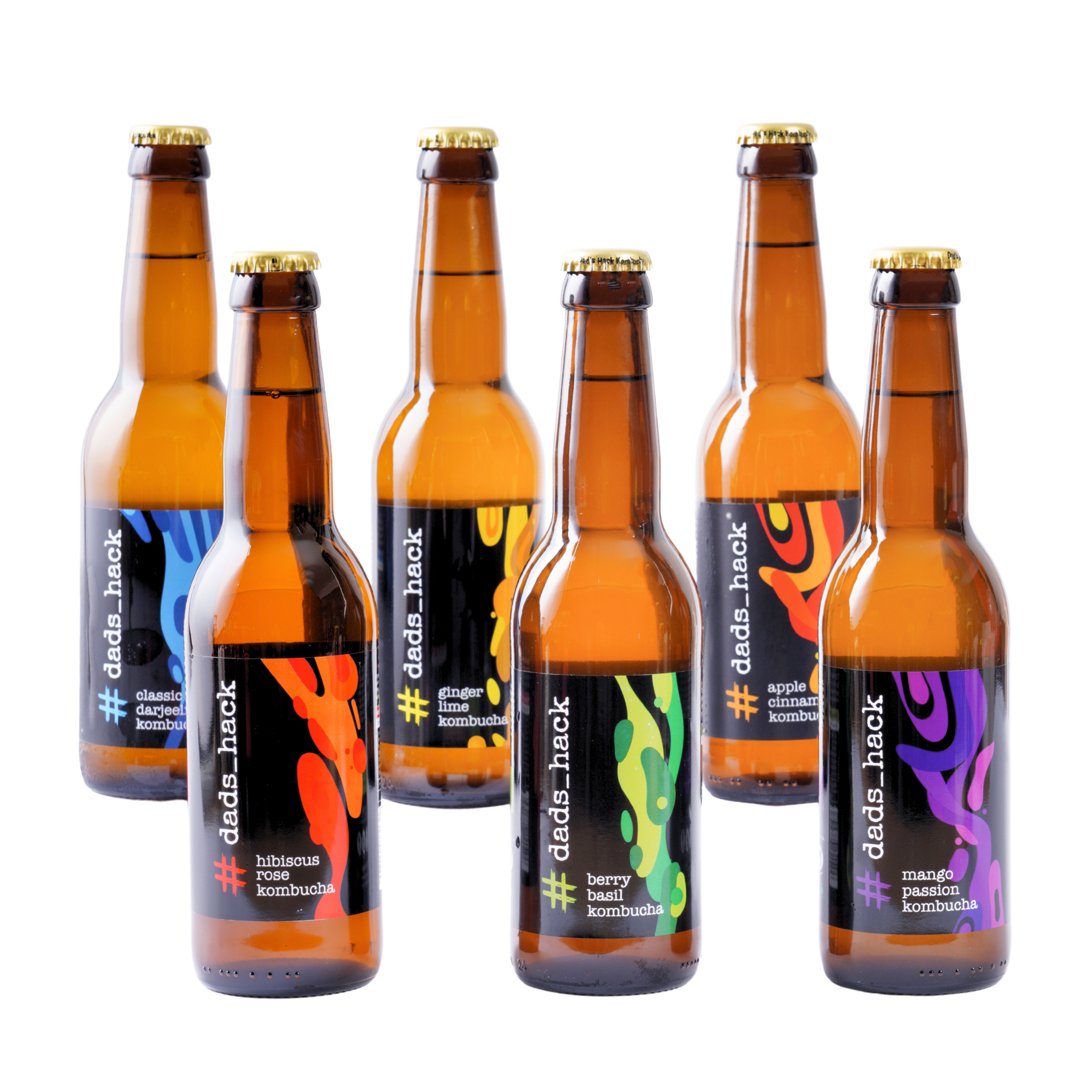 6-Pack Kombucha Bottles