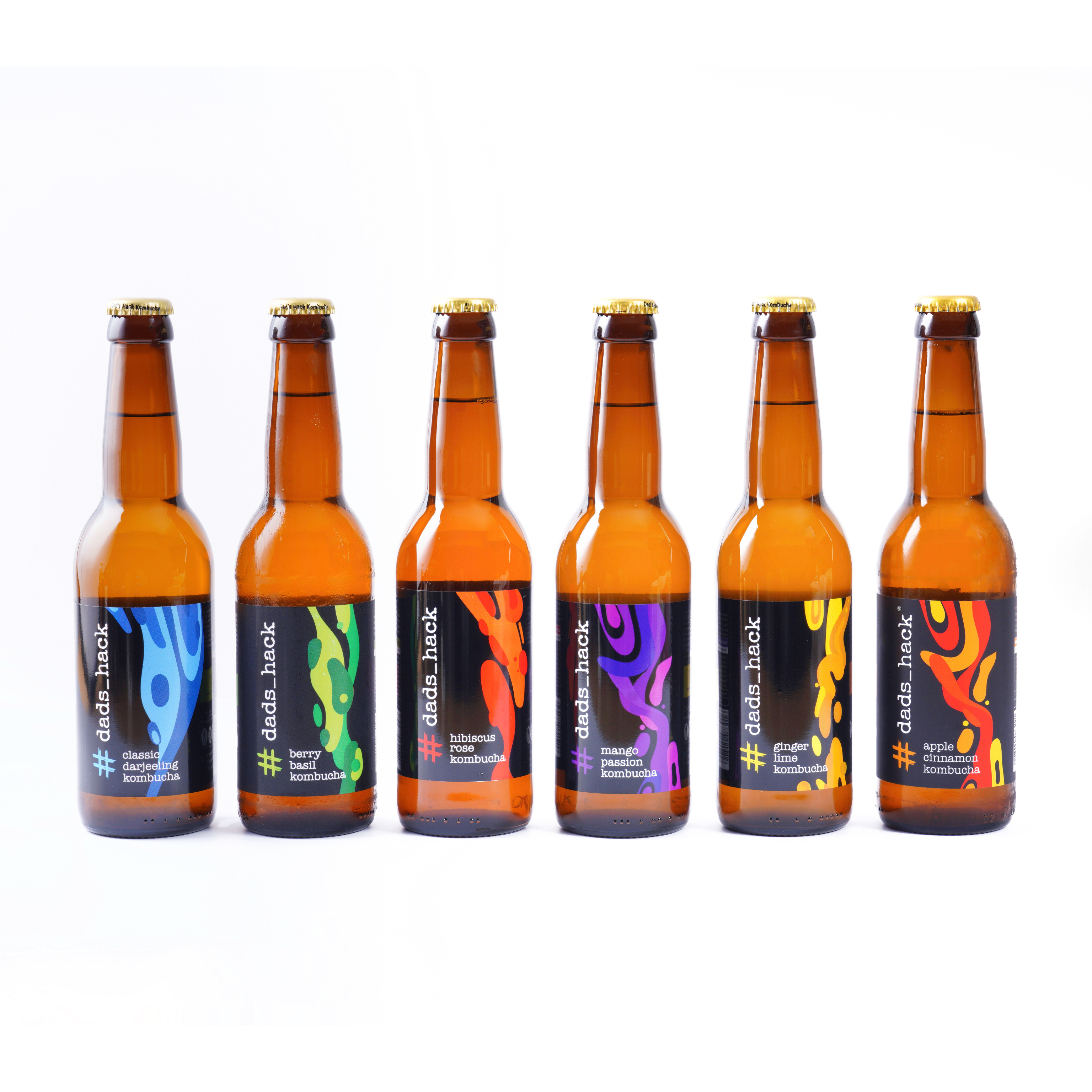 6-Pack Kombucha Bottles