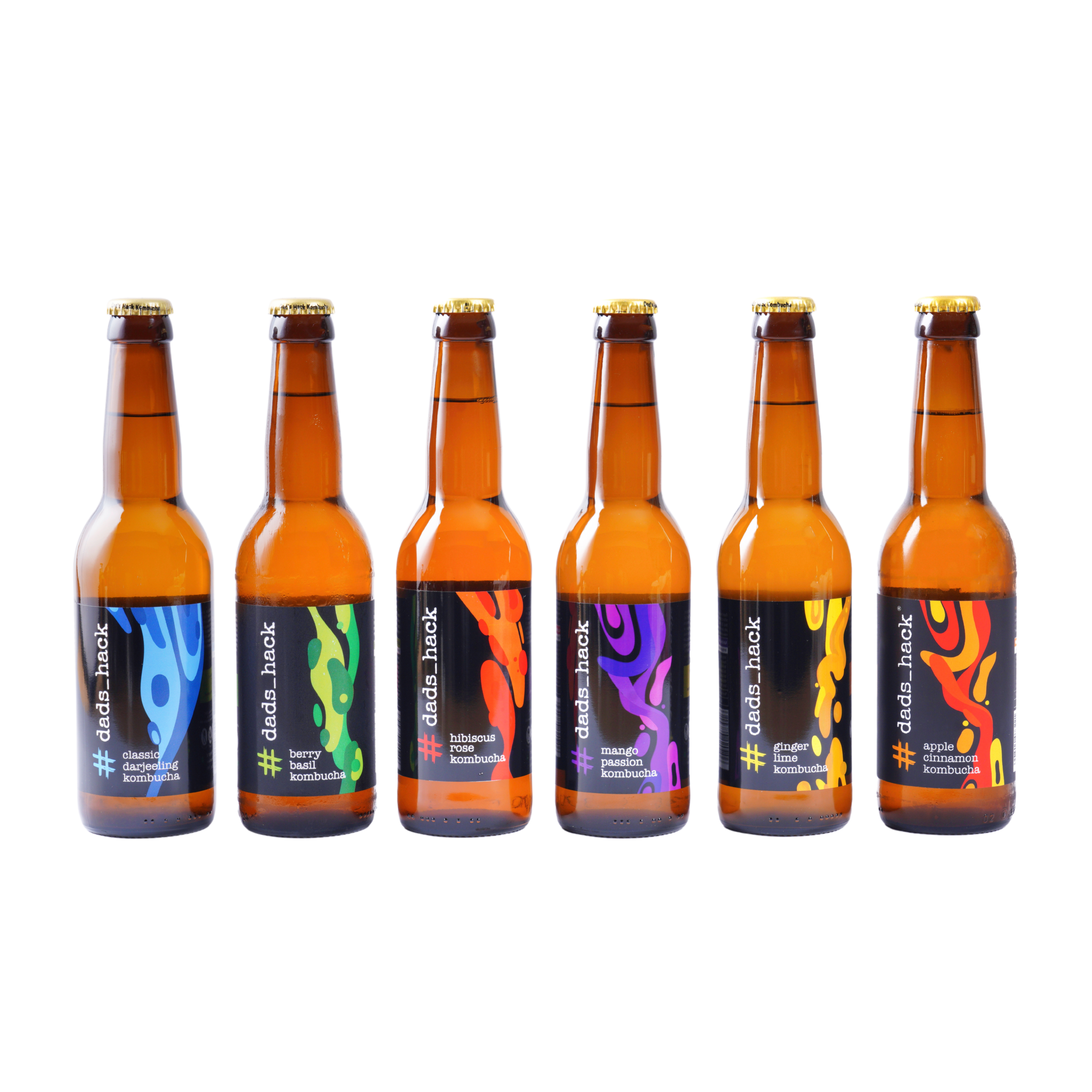 6-Pack Kombucha Bottles