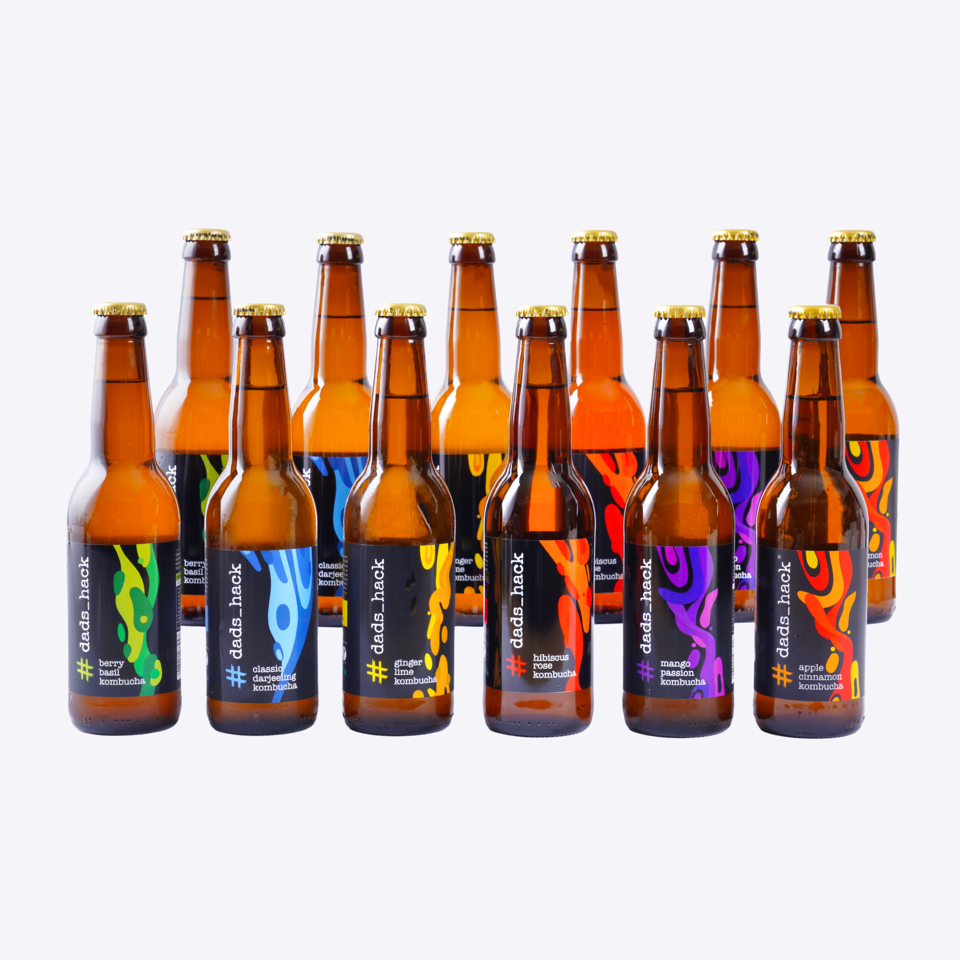 12-Pack Kombucha Bottles