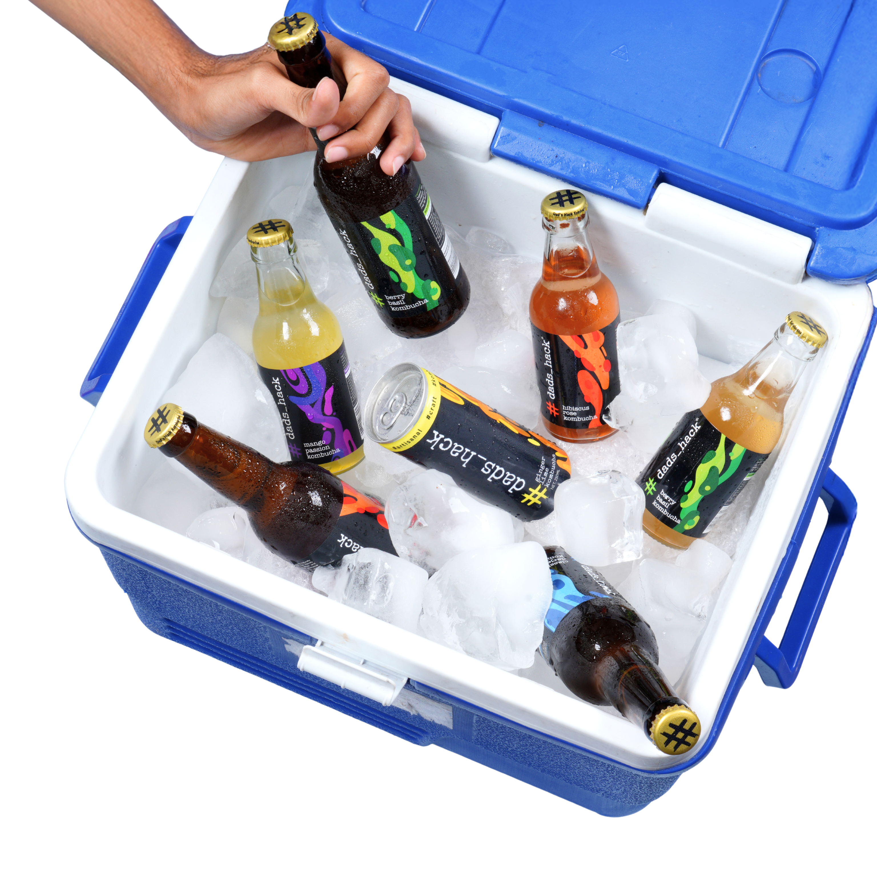 The Kombucha Subscription (4/6/12 Bottles)