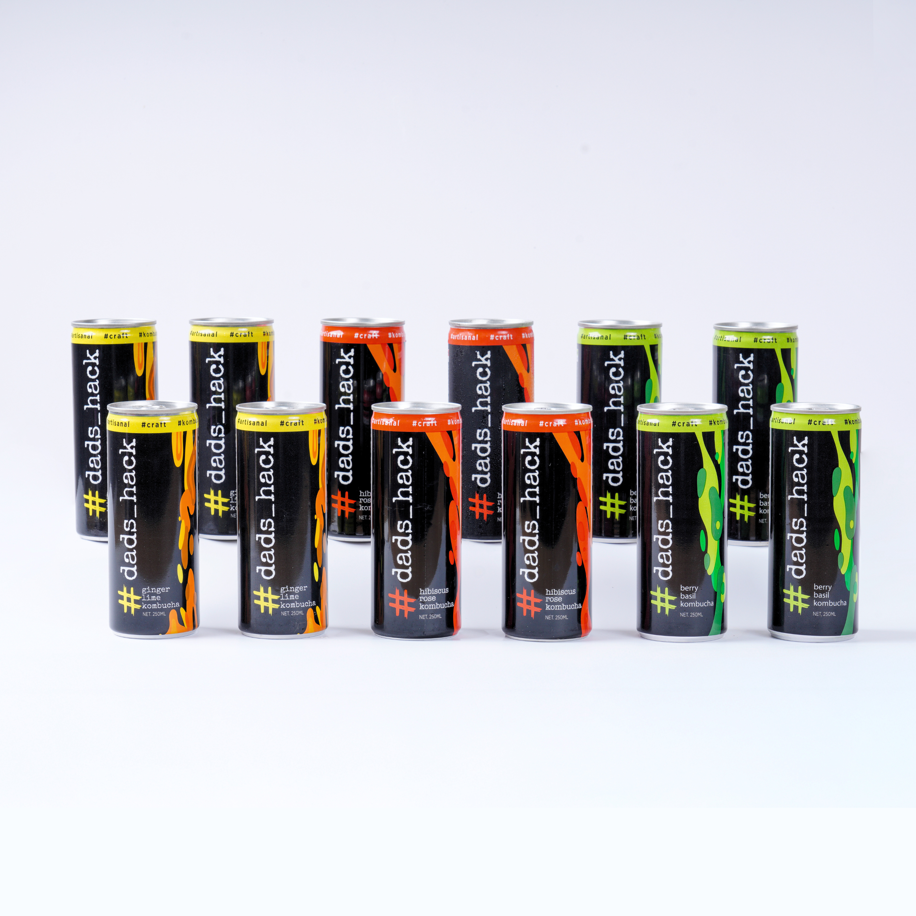 Pack of 12 Kombucha Cans [Choose your flavours]