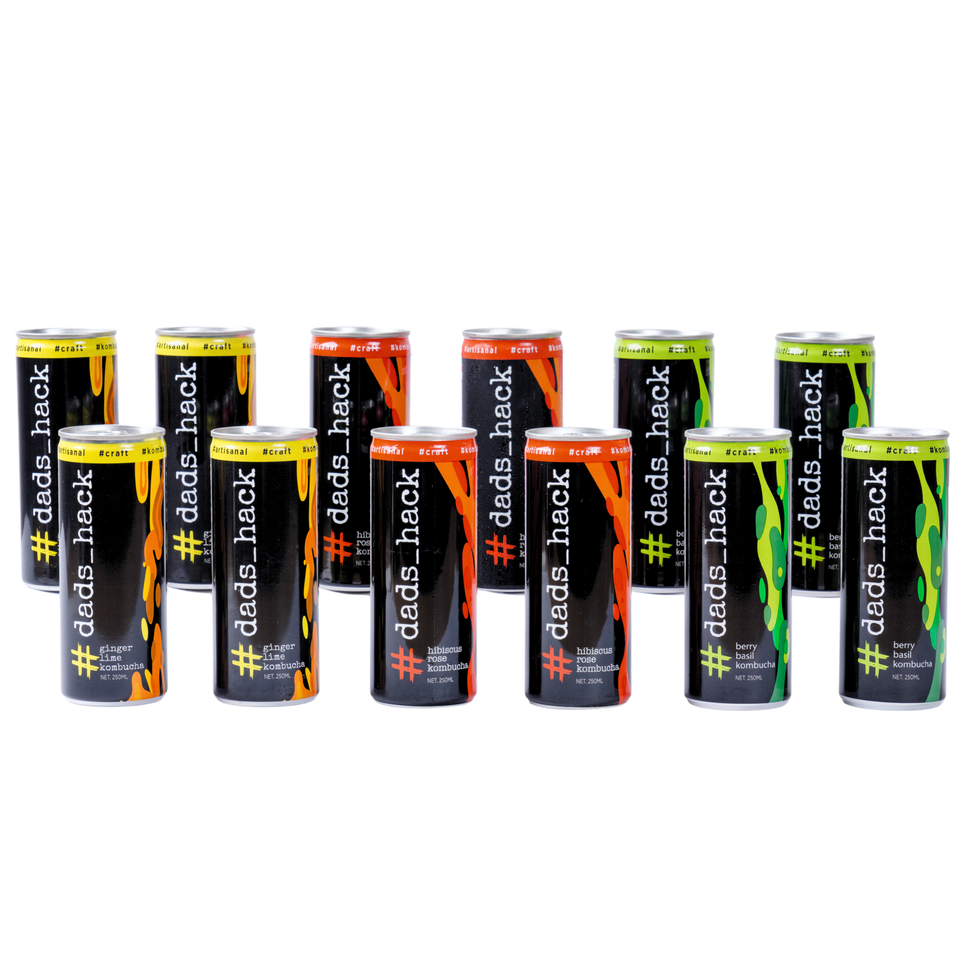 Pack of 12 Kombucha Cans [Choose your flavours]