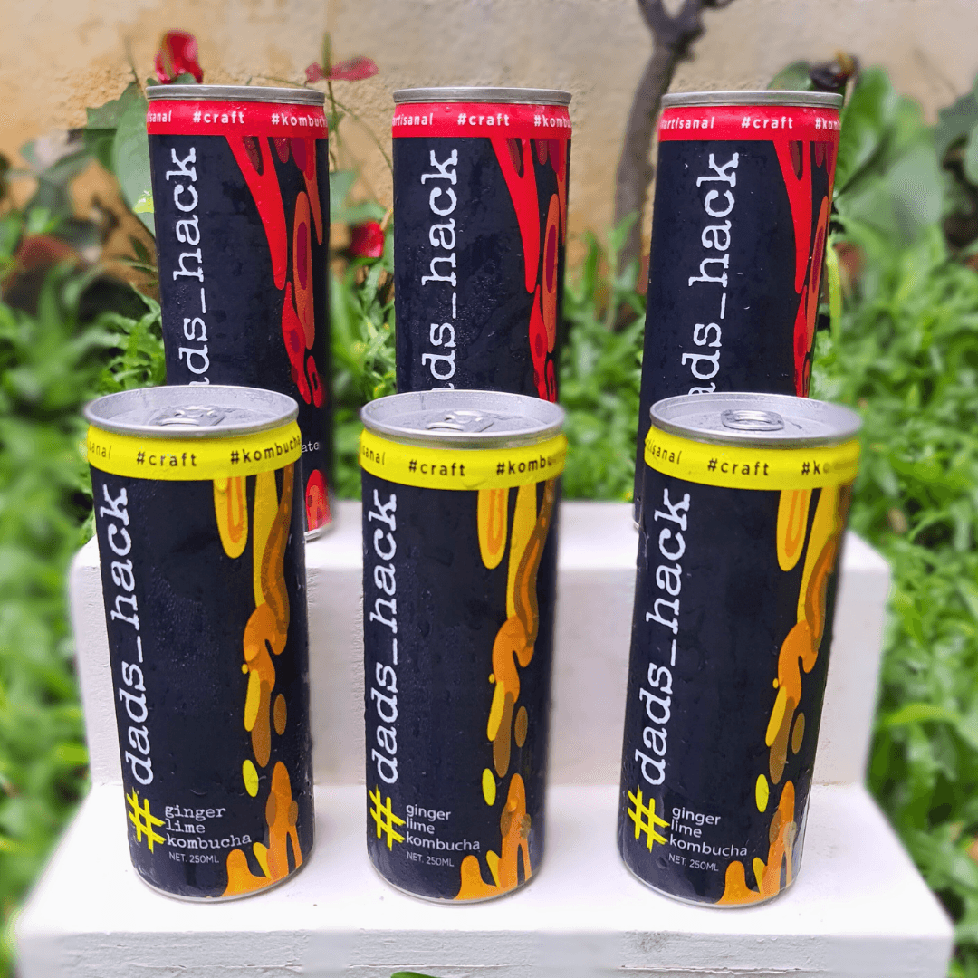 Pack of 6 cans - Pomegranate Mint + Ginger Lime