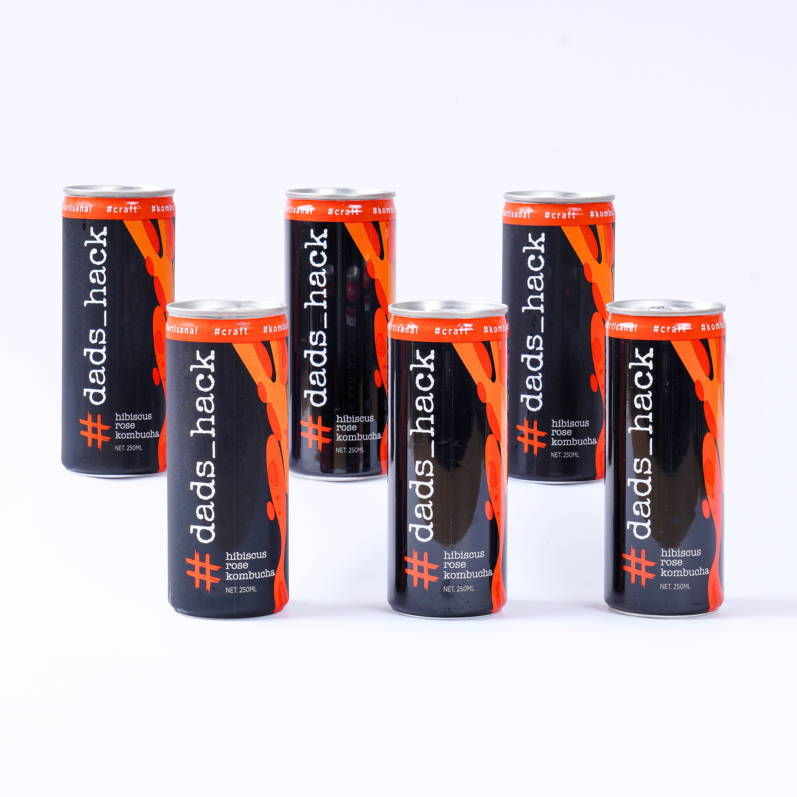 Hibiscus Rose - Pack of 6 Kombucha Cans