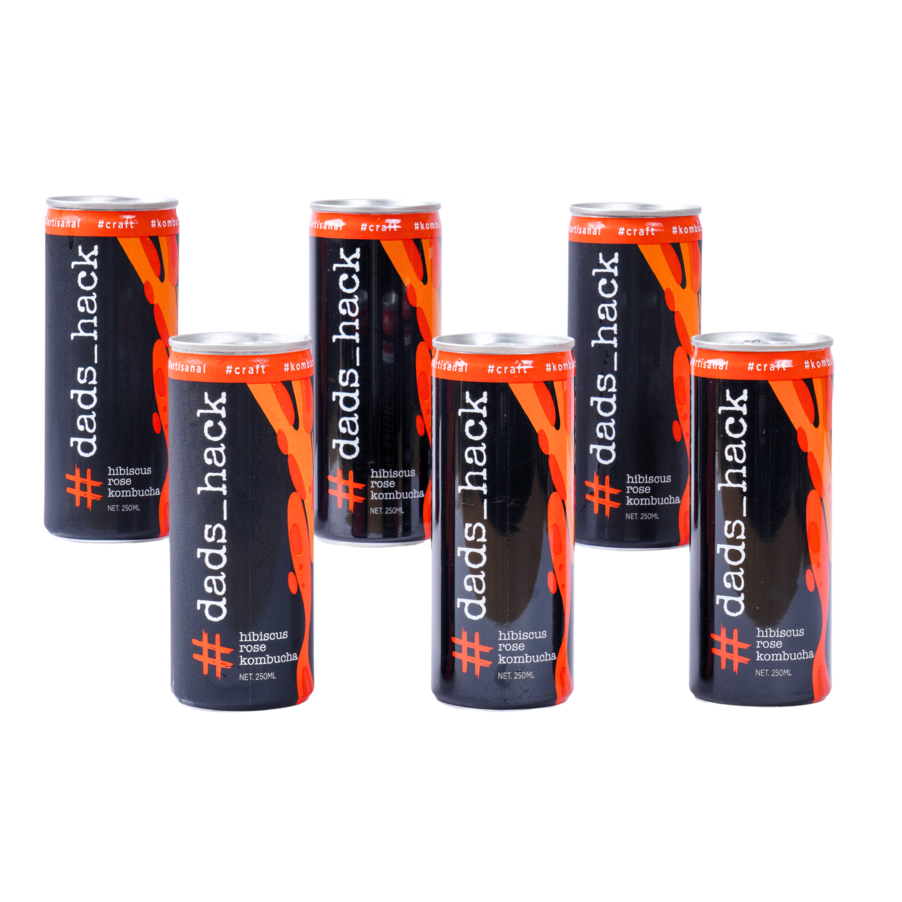 Hibiscus Rose - Pack of 6 Kombucha Cans