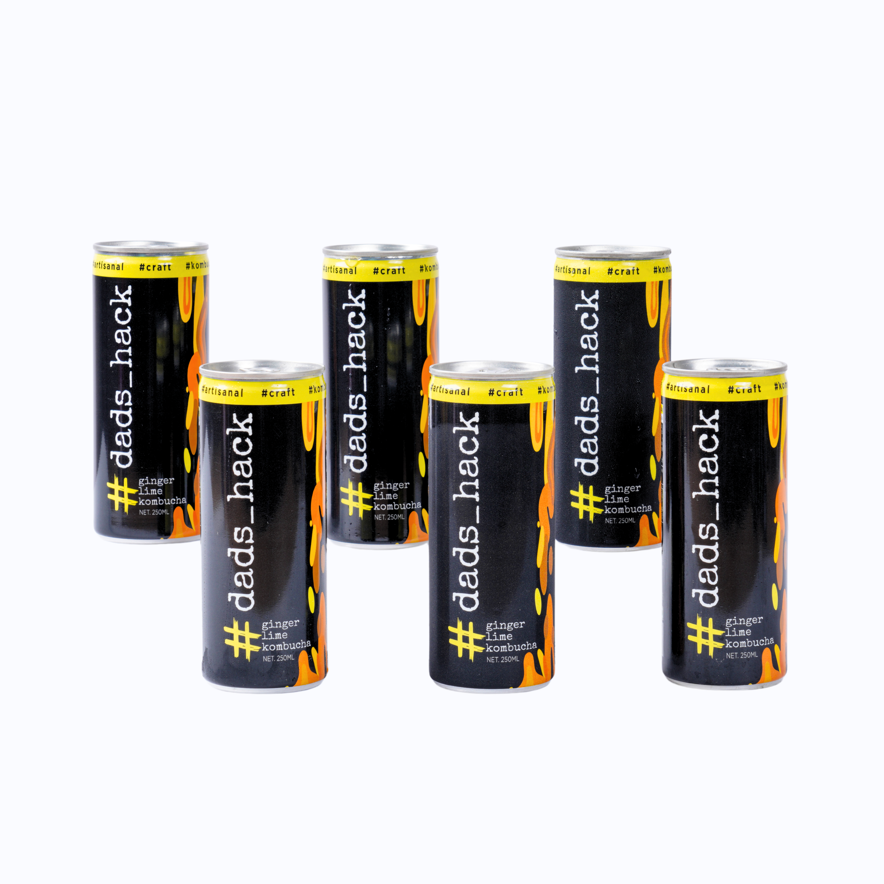 Ginger Lime - Pack of 6 Kombucha Cans