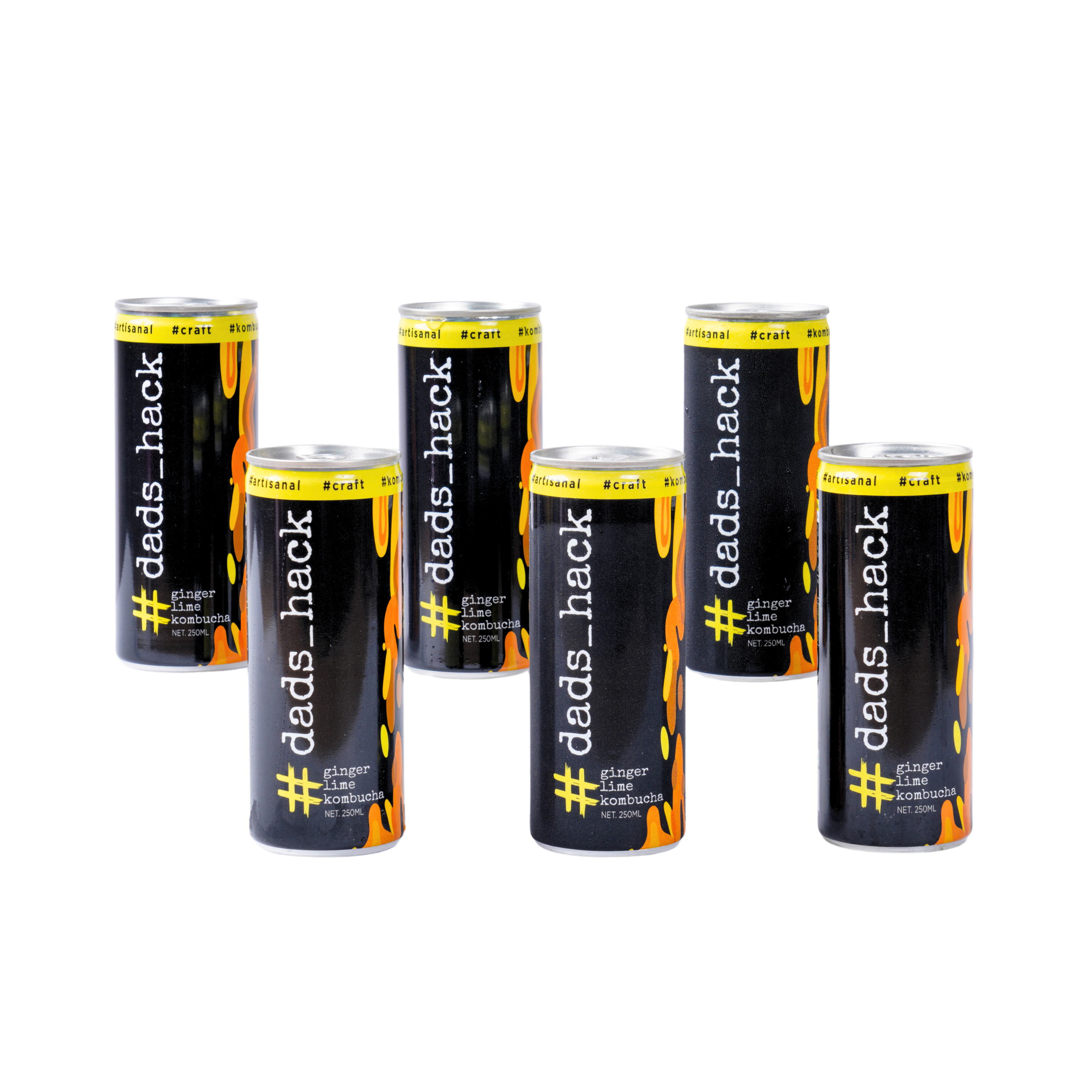 Ginger Lime - Pack of 6 Kombucha Cans