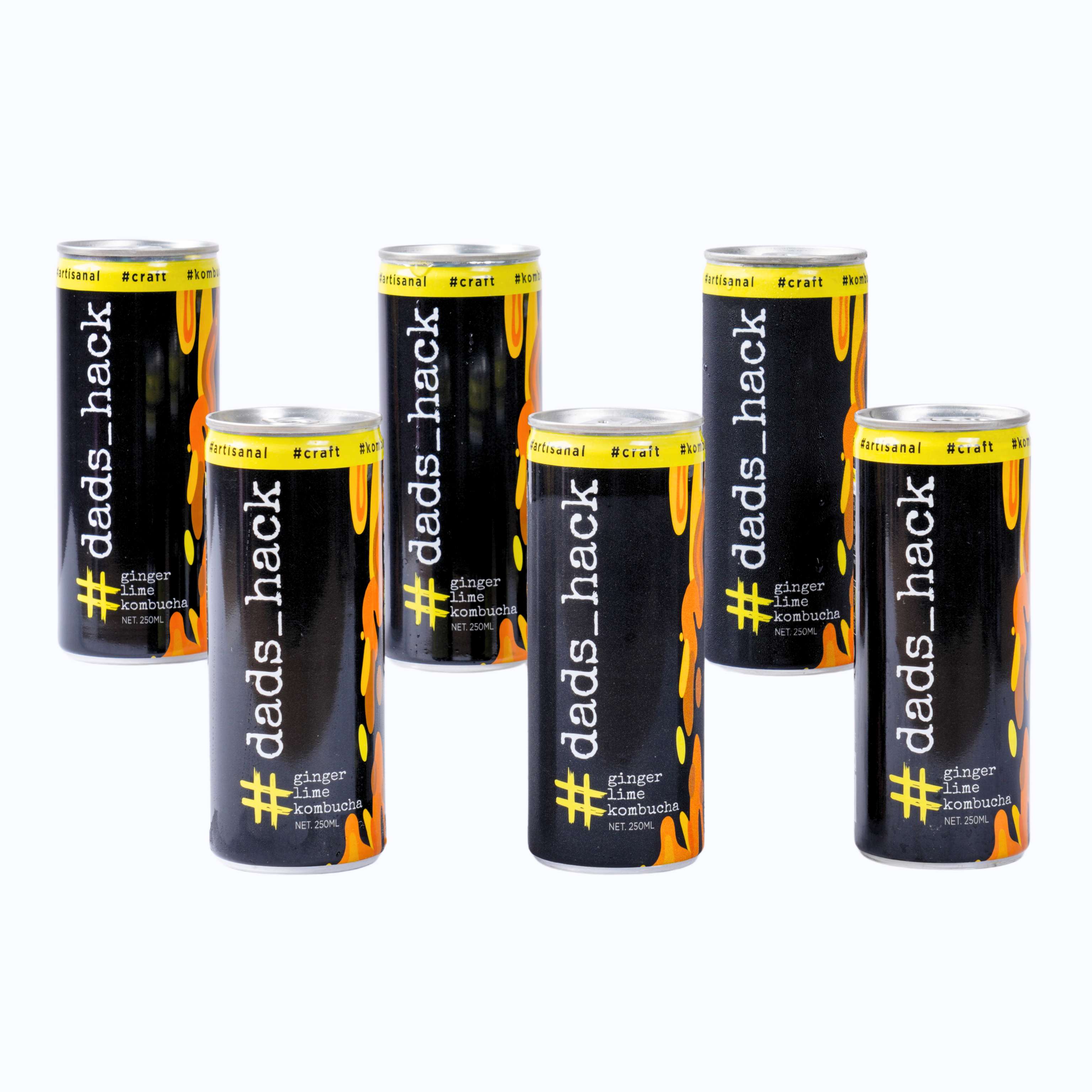 Ginger Lime - Pack of 6 Kombucha Cans