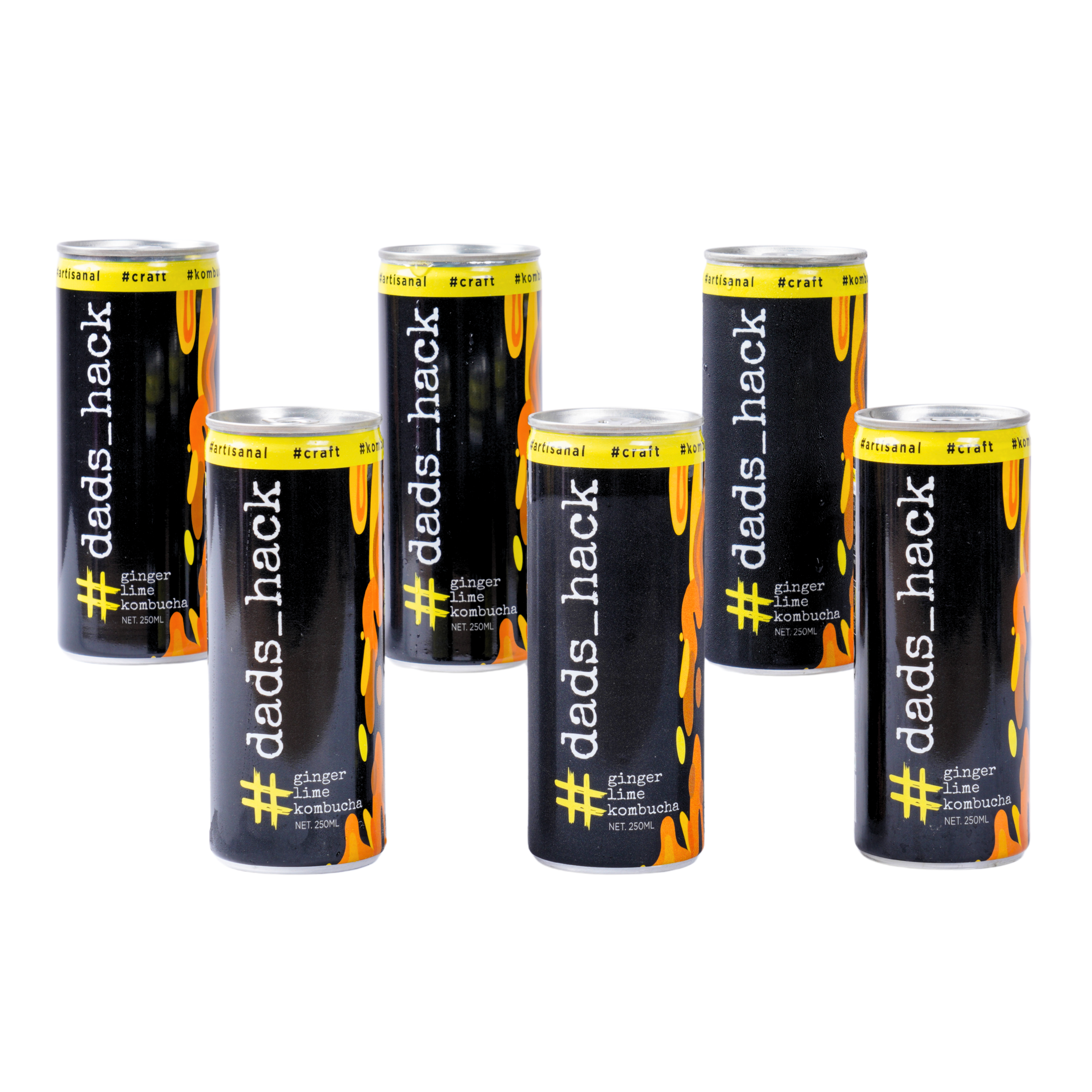 Ginger Lime - Pack of 6 Kombucha Cans
