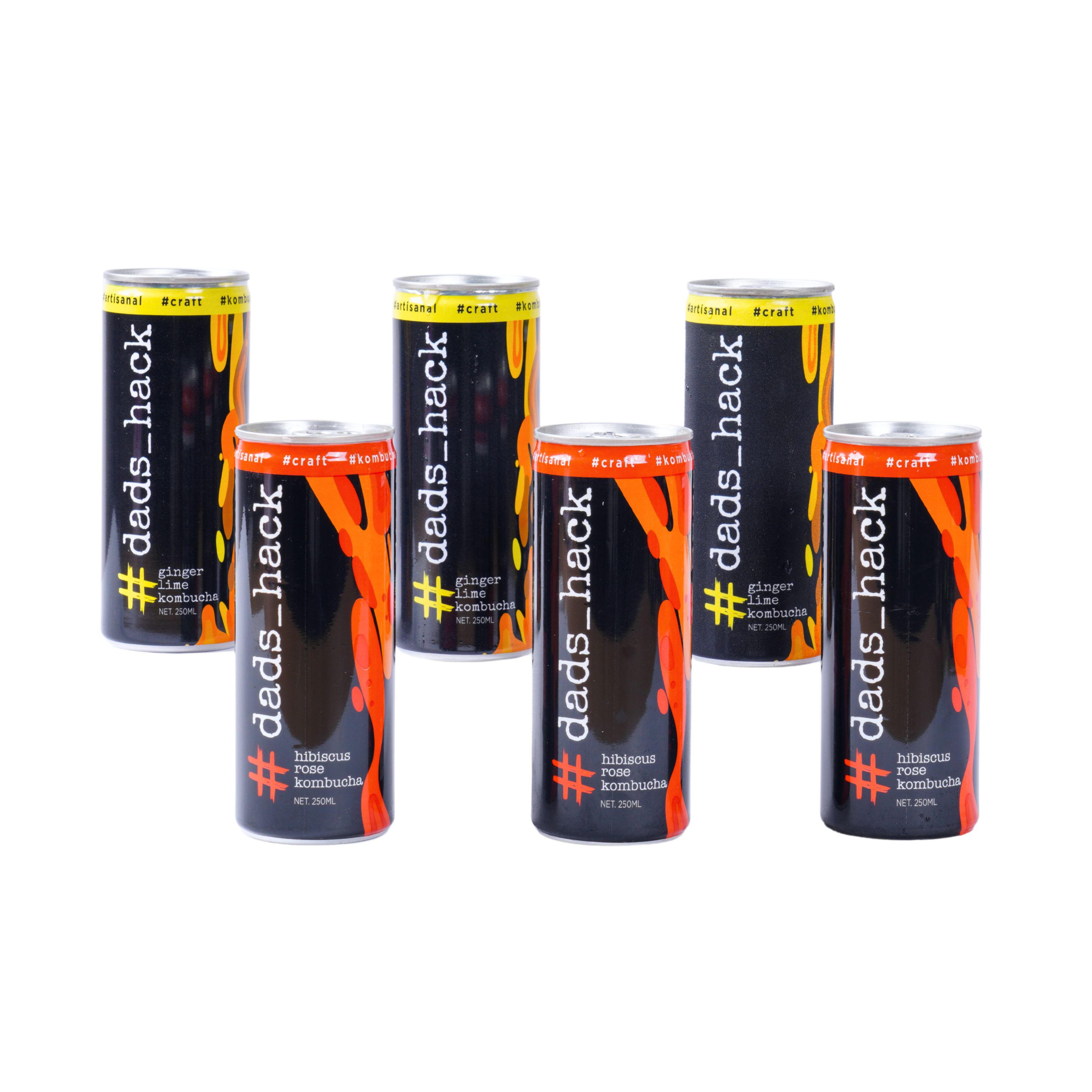 Hibiscus Rose + Ginger Lime - Pack of 6 Kombucha Cans