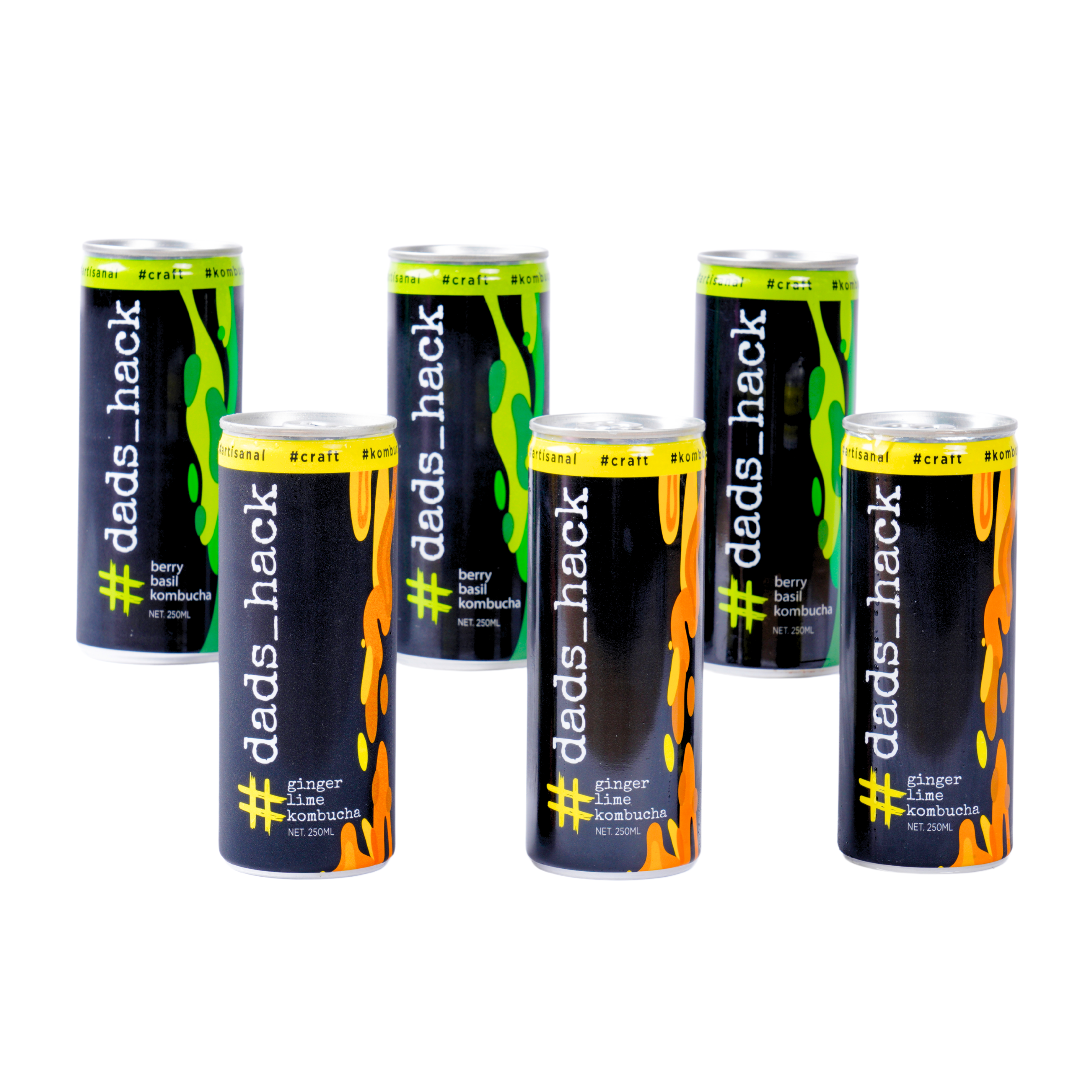 Berry Basil + Ginger Lime - Pack of 6 Kombucha Cans