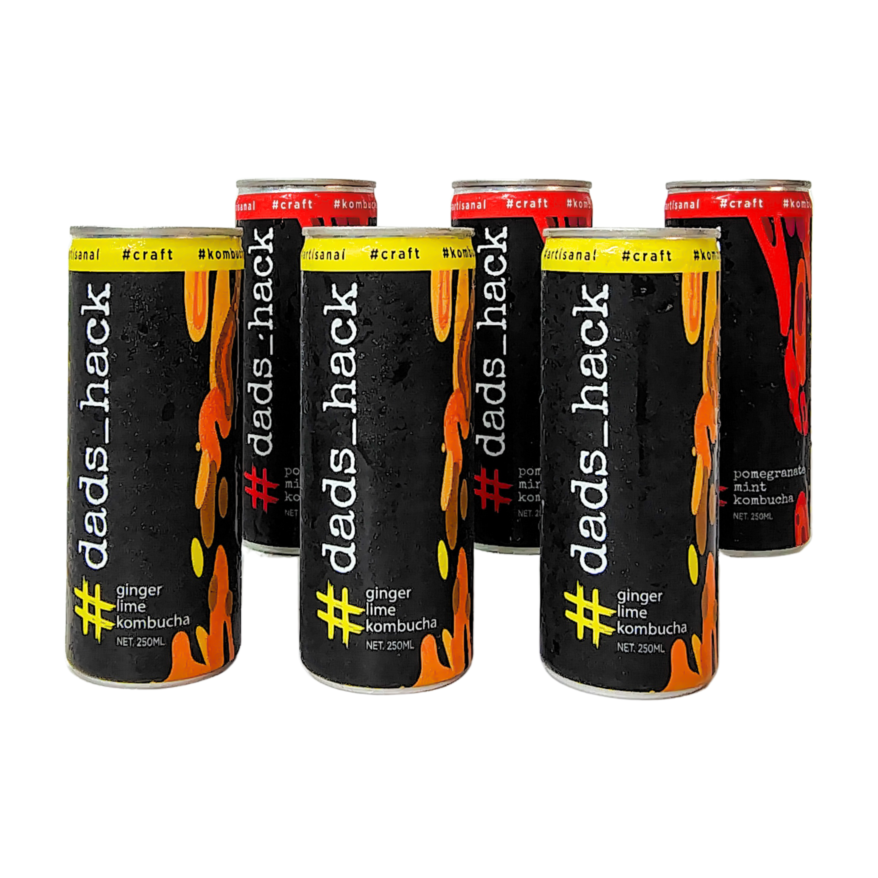 Ginger Lime + Pomegranate Mint - Pack of 6 Kombucha cans