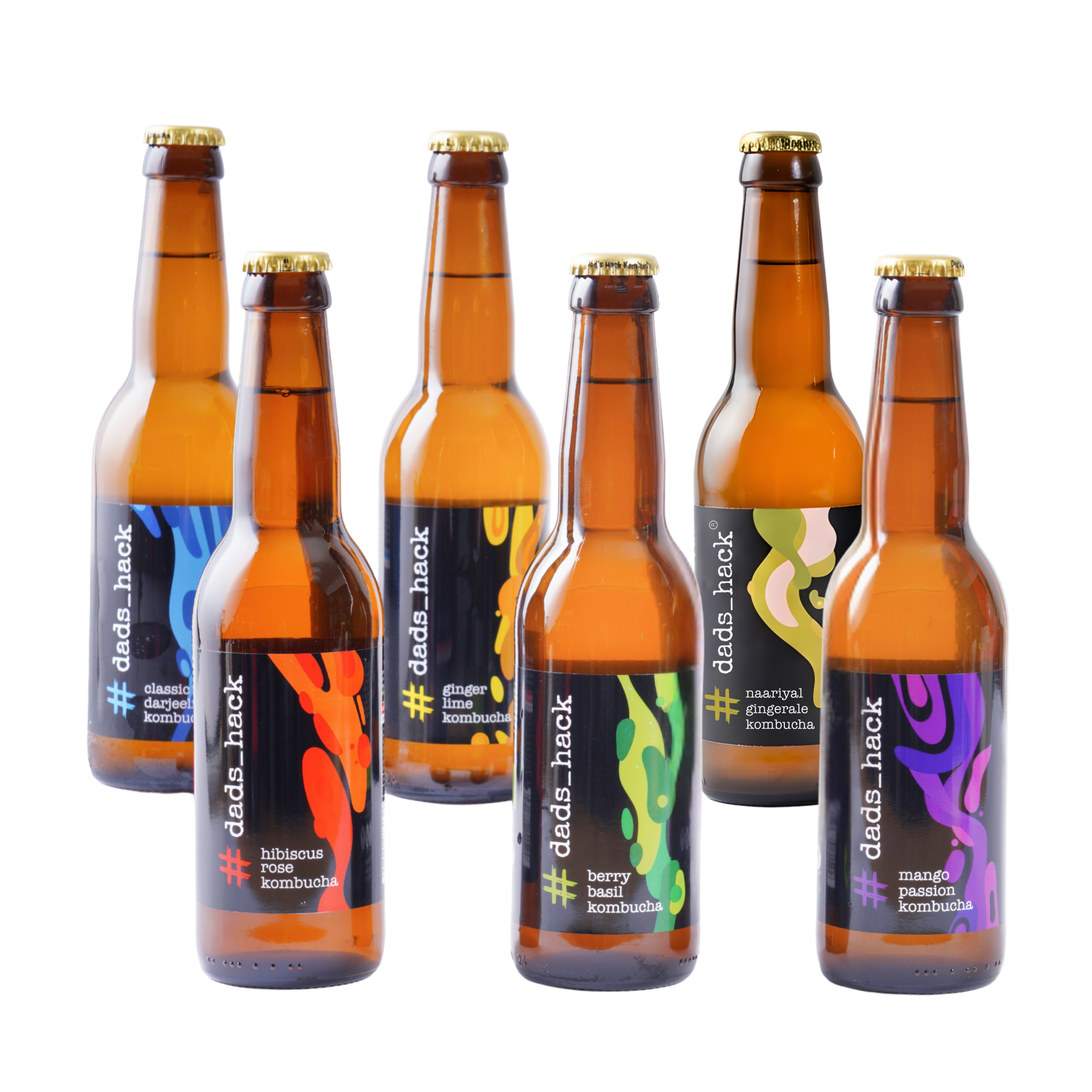 6-Pack Kombucha Bottles