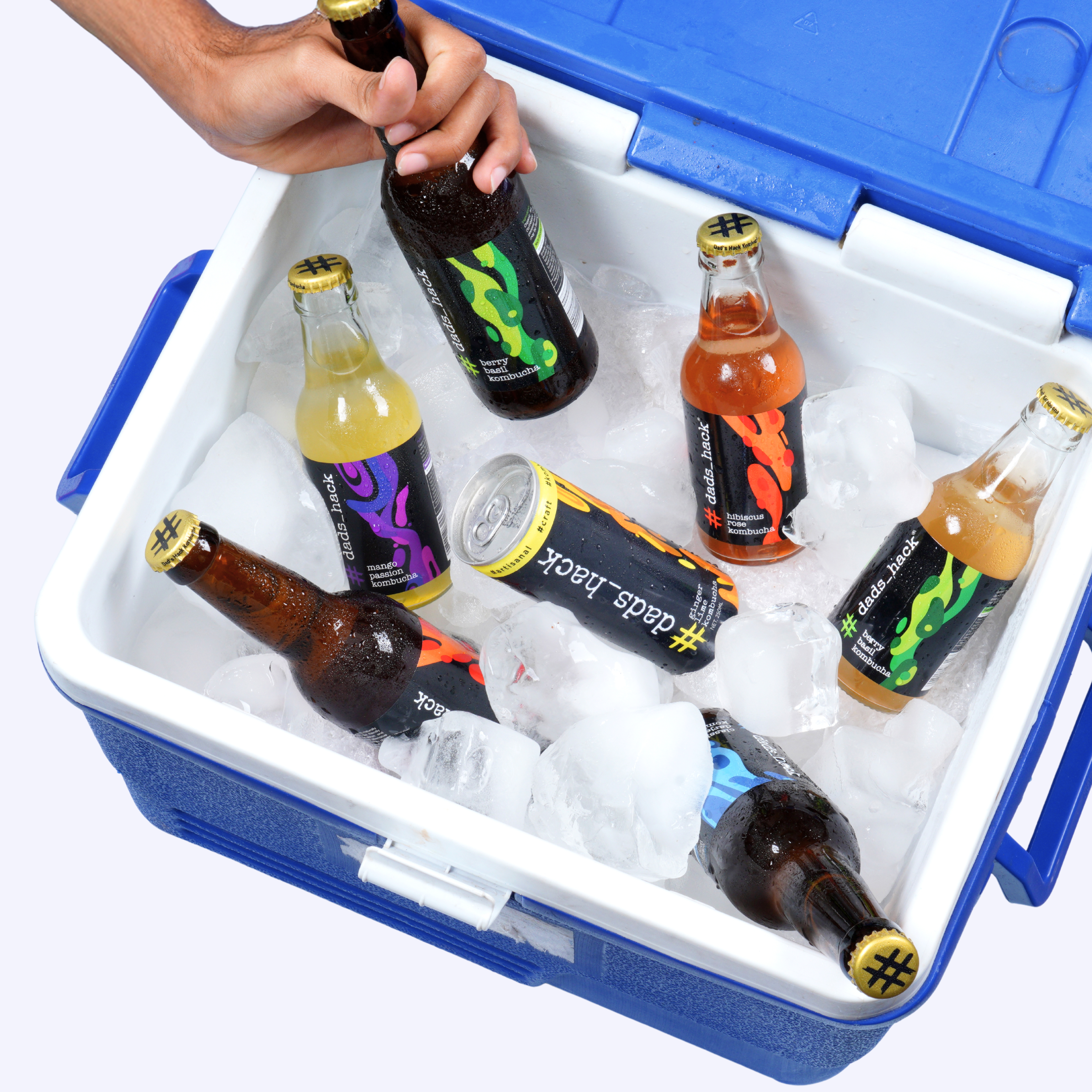 The Kombucha Subscription (4/6/12 Bottles)
